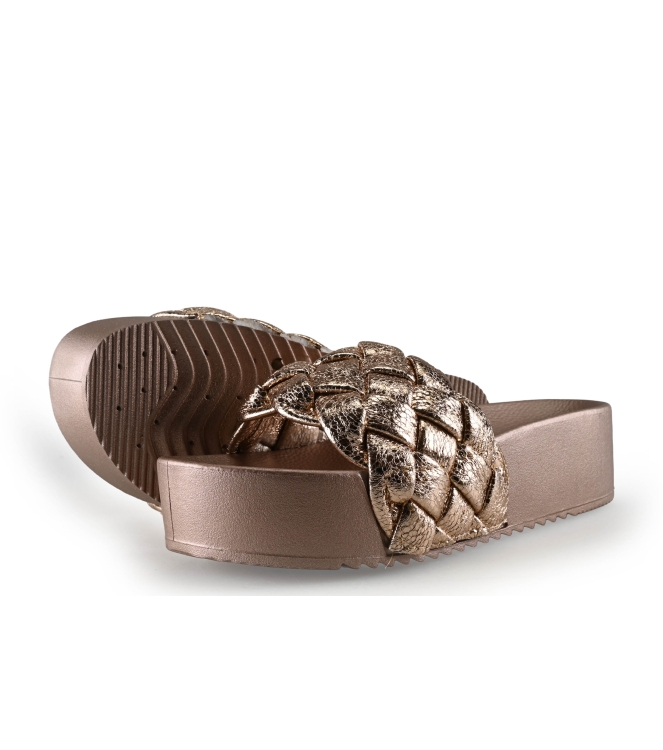 Colors of California Muiltjes