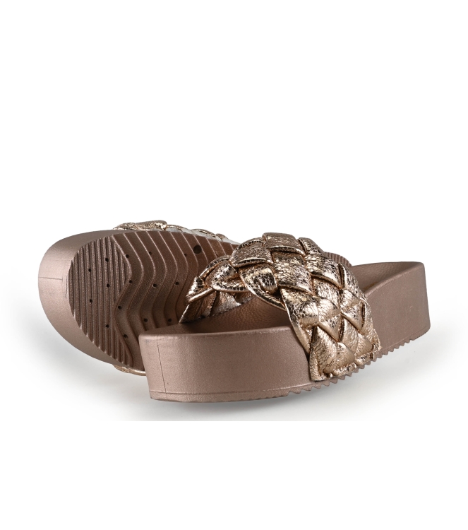 Colors of California Muiltjes