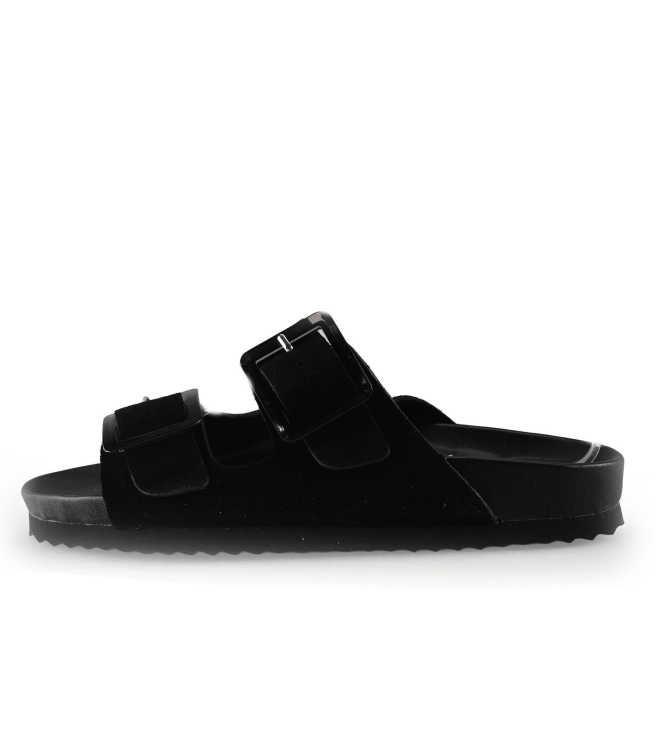 Colors of California Muiltjes