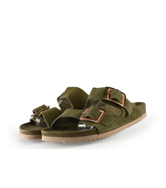 Colors of California Muiltjes