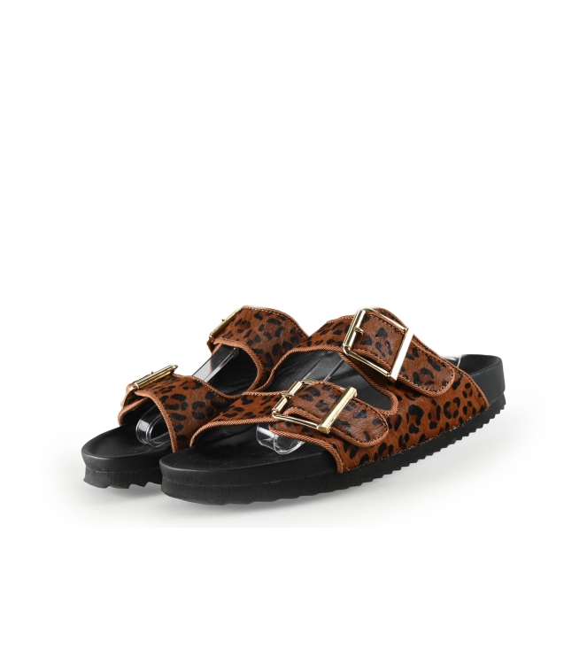 Colors of California Muiltjes