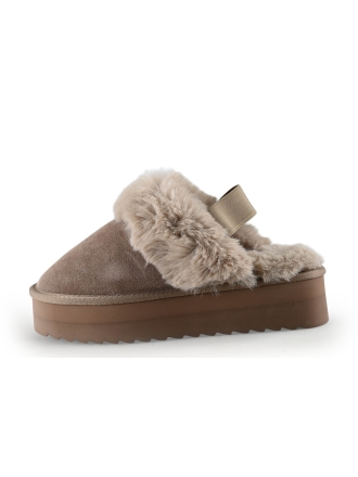 Colors of California Slippers Bruin 331656
 Maat 39
 