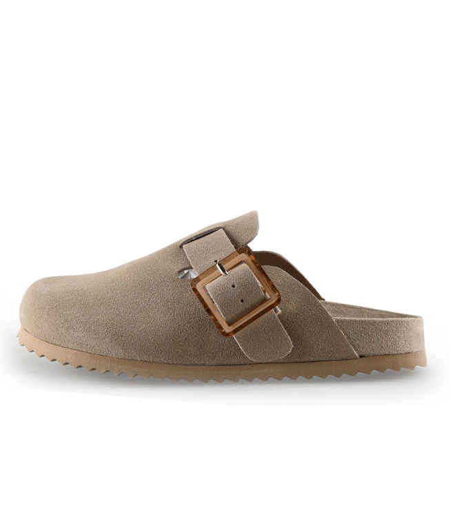 Colors of California Muiltjes