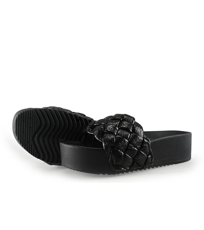 Colors of California Muiltjes