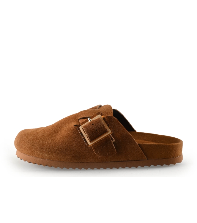 Colors of California Muiltjes