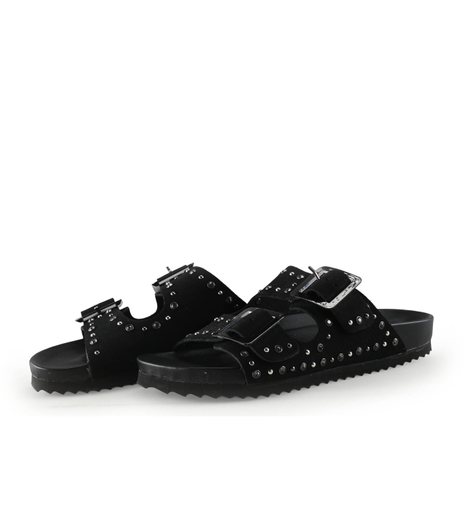 Colors of California Muiltjes