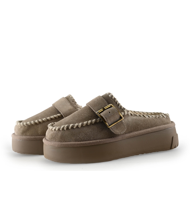 Colors of California Muiltjes