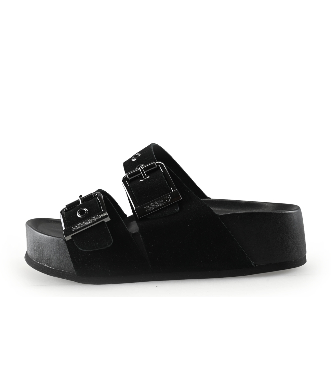 Colors of California Muiltjes