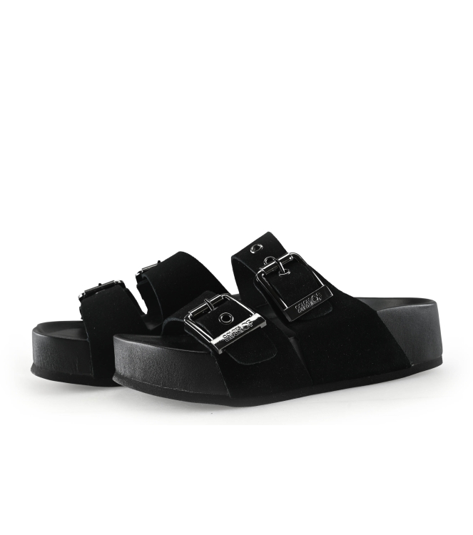 Colors of California Muiltjes