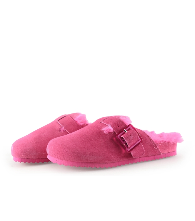 Colors of California Muiltjes