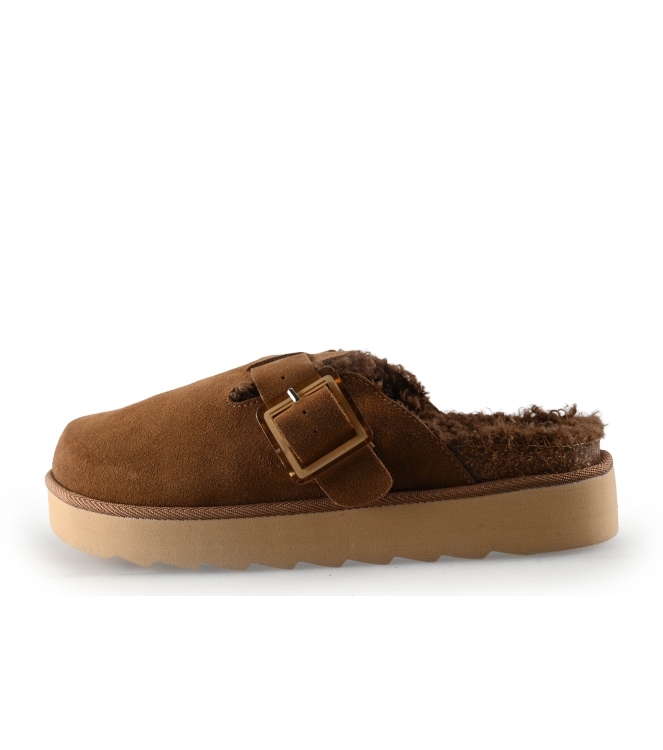 Colors of California Muiltjes