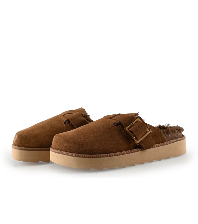 Colors of California Muiltjes