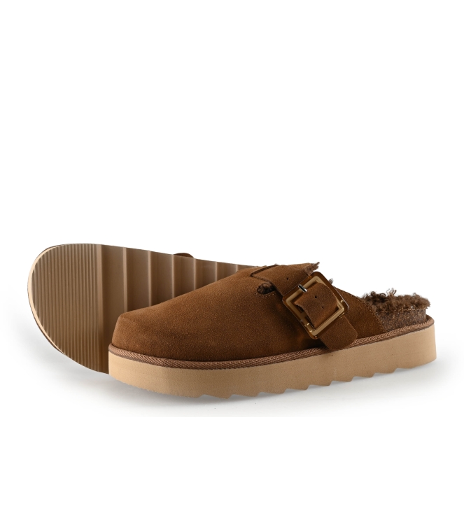 Colors of California Muiltjes