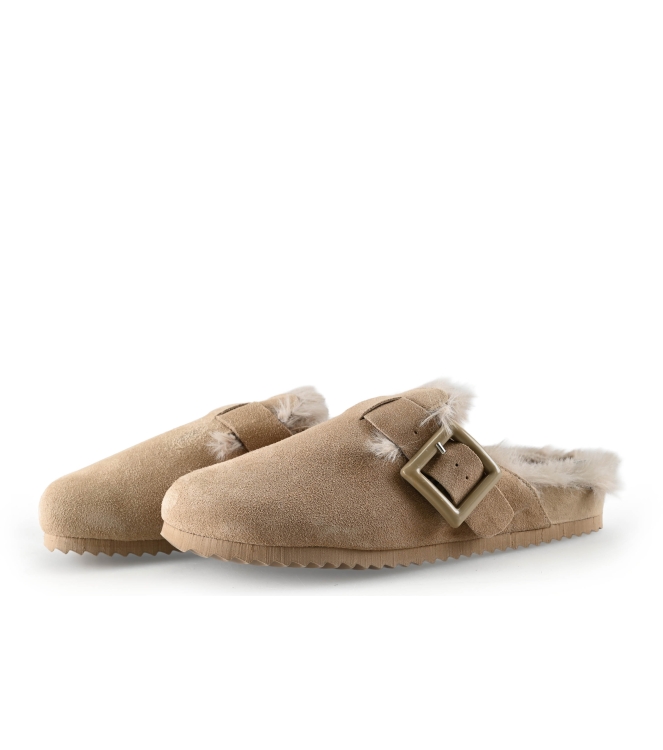 Colors of California Muiltjes