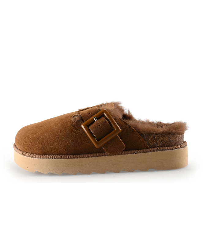 Colors of California Muiltjes