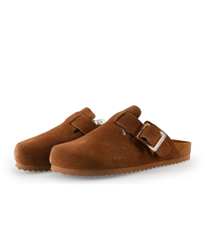 Colors of California Muiltjes