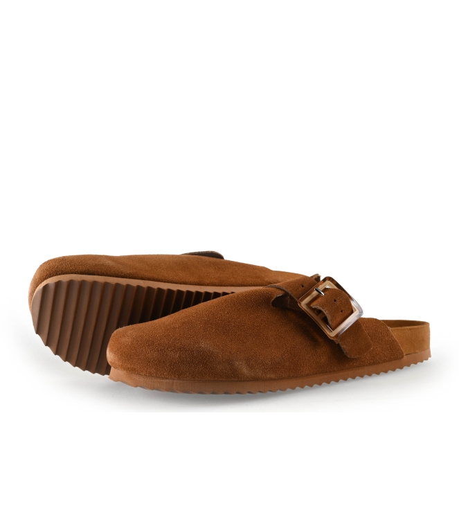 Colors of California Muiltjes