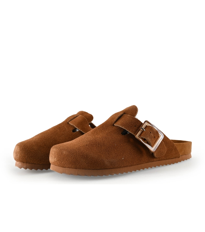 Colors of California Muiltjes