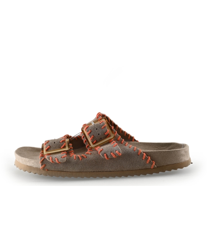 Colors of California Muiltjes