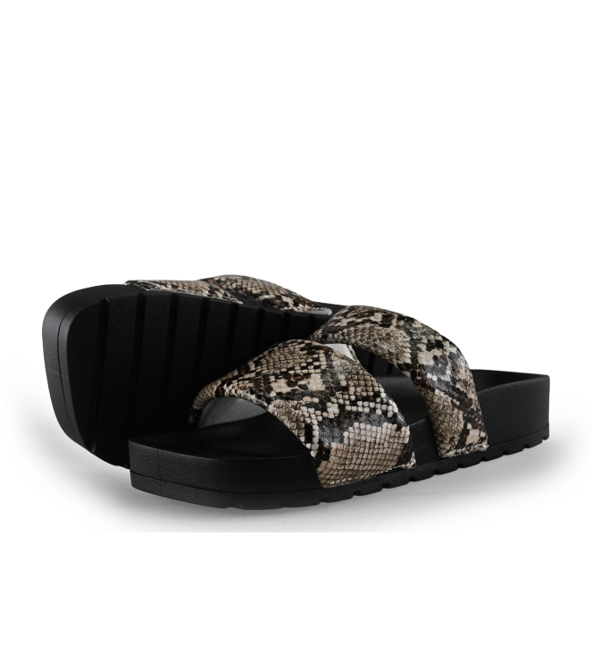 Colors of California Muiltjes