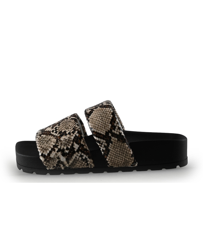 Colors of California Muiltjes