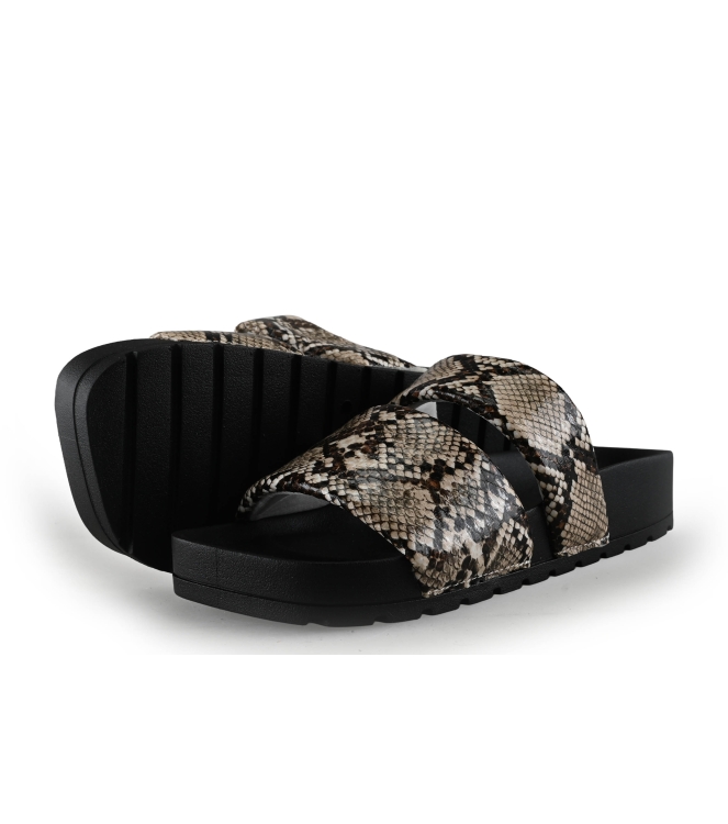 Colors of California Muiltjes