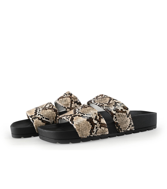 Colors of California Muiltjes