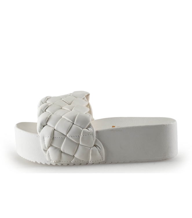 Colors of California Muiltjes