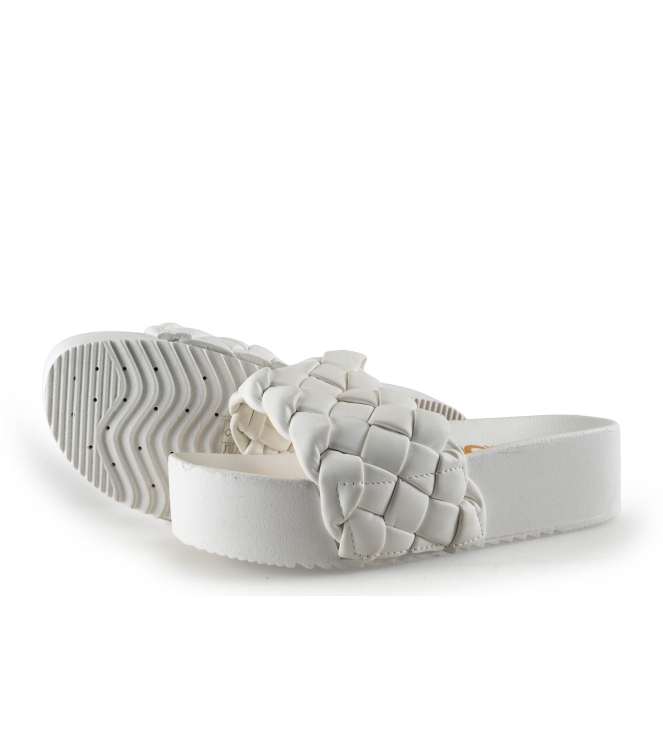 Colors of California Muiltjes