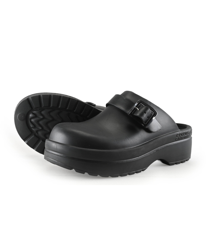 Colors of California Muiltjes