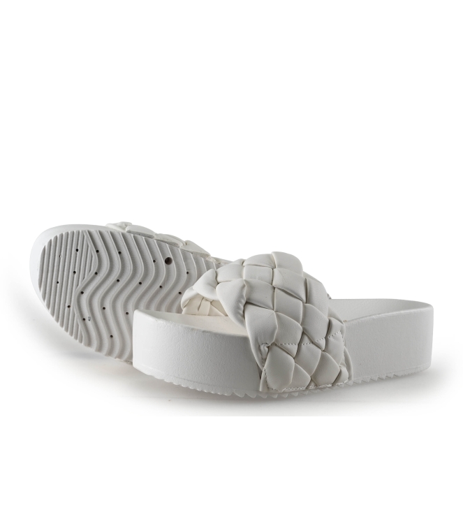 Colors of California Muiltjes