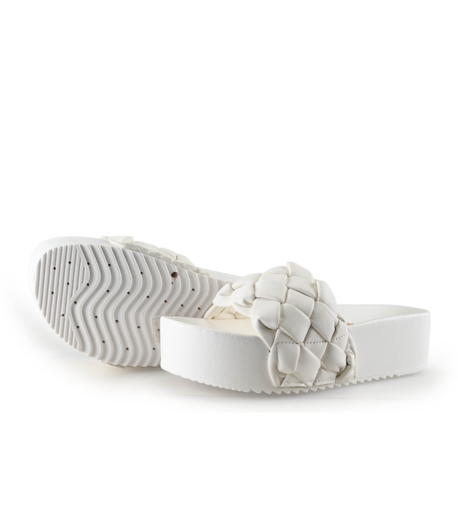 Colors of California Muiltjes