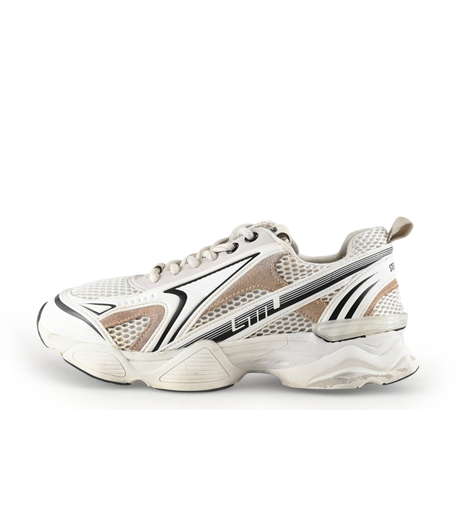 Steve Madden Sneakers