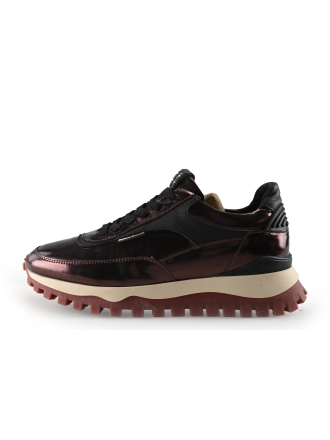Floris van Bommel Sneakers Brons 334657
Maat 38