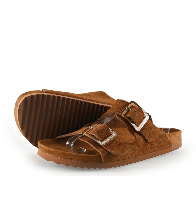 Colors of California Muiltjes