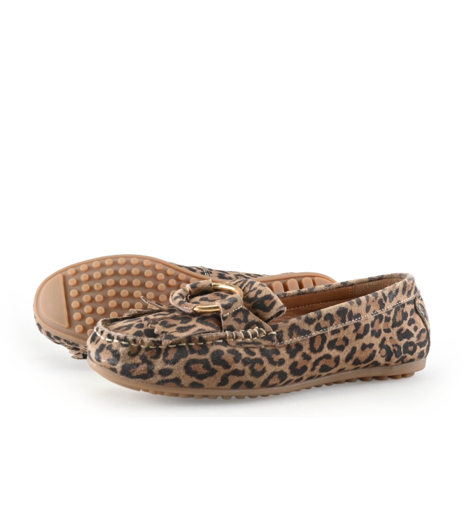 Loff 1881 Instappers