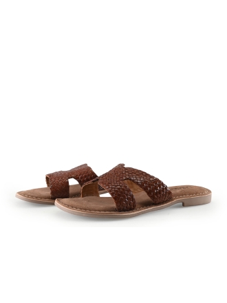 Lazamani Muiltjes Bruin 336387
 Maat 39
 