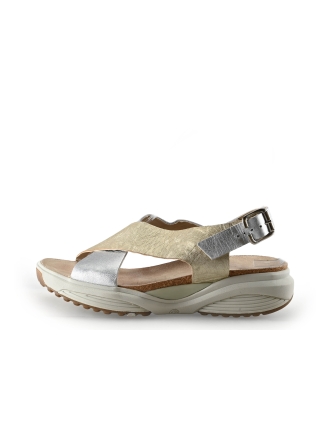 Xsensible Sandalen Goud 336865
 Maat 39
 