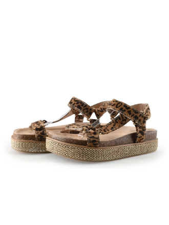 Poelman Espadrilles Bruin 336869
 Maat 39
 