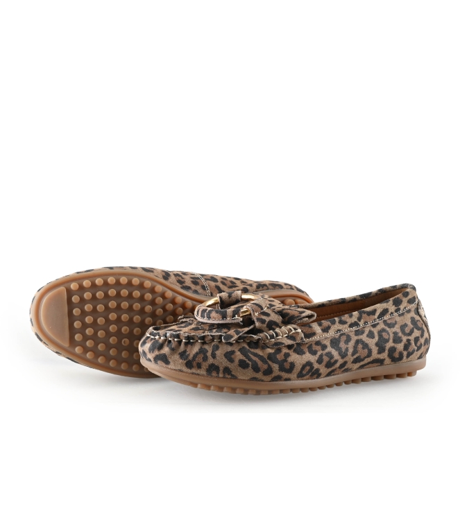 Loff 1881 Instappers