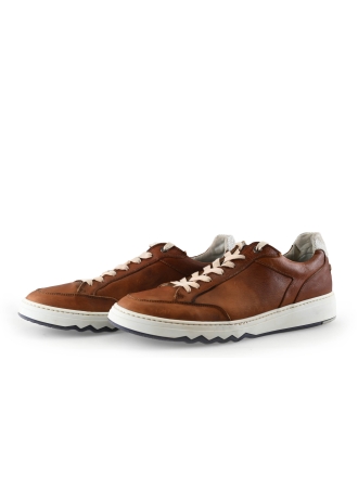 Floris van Bommel Sneakers Cognac 337119
 Maat 42
 