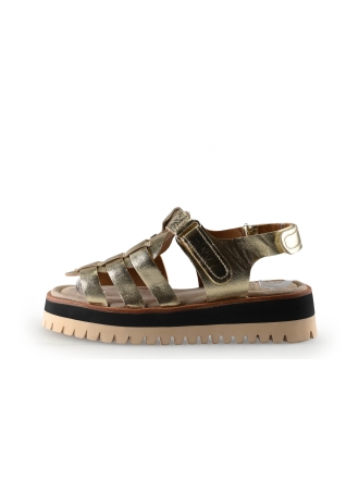 Maruti Sandalen Goud 337324
 Maat 38
 