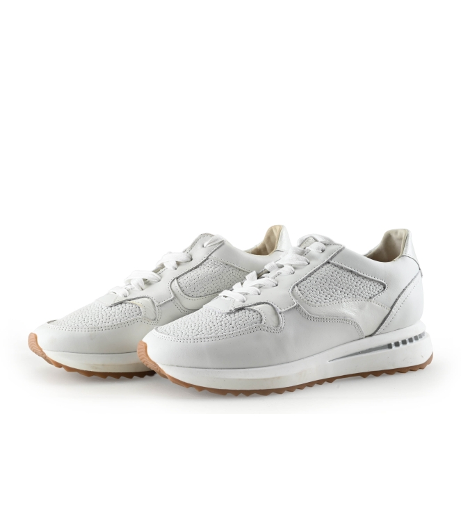 Floris van Bommel Sneakers