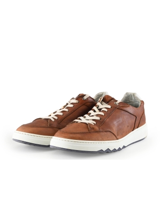 Floris van Bommel Sneakers Cognac 337624
 Maat 42
 