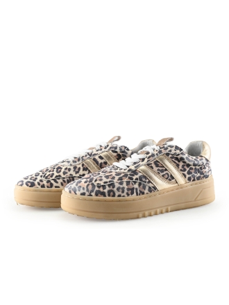 Poelman Sneakers Bruin 337774
 Maat 40
 