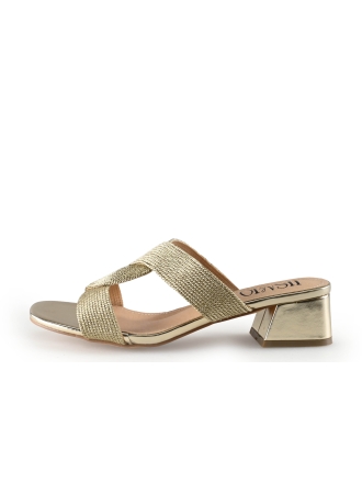 Lisa&jo Slippers Goud 337892
 Maat 40
 