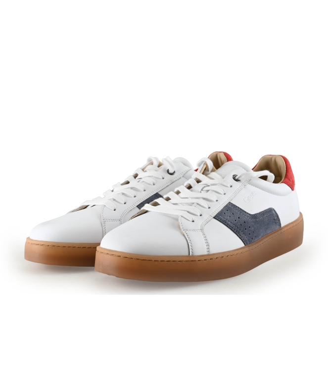 Greve Sneakers