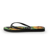 Havaianas Slippers