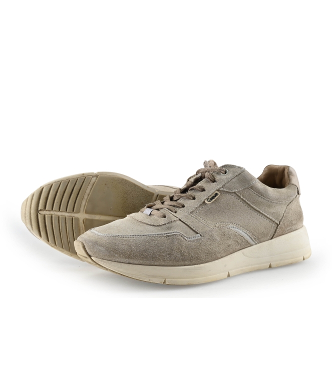 Greve Sneakers