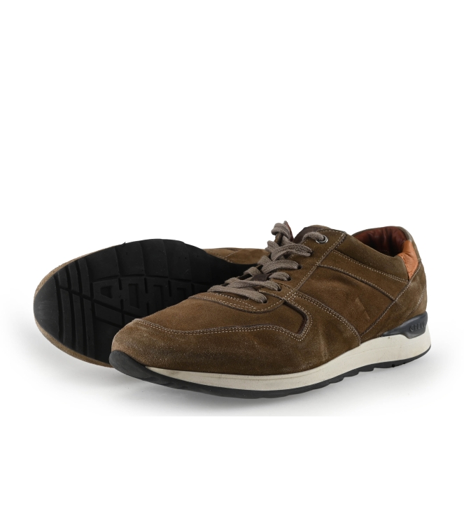 Greve Sneakers